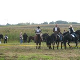 lovas_talalkozo_2010_64